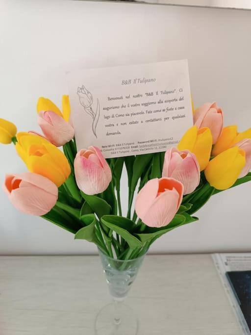 B&B Il Tulipano Como Eksteriør bilde